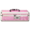 Lockable Sex Toy Box- Medium