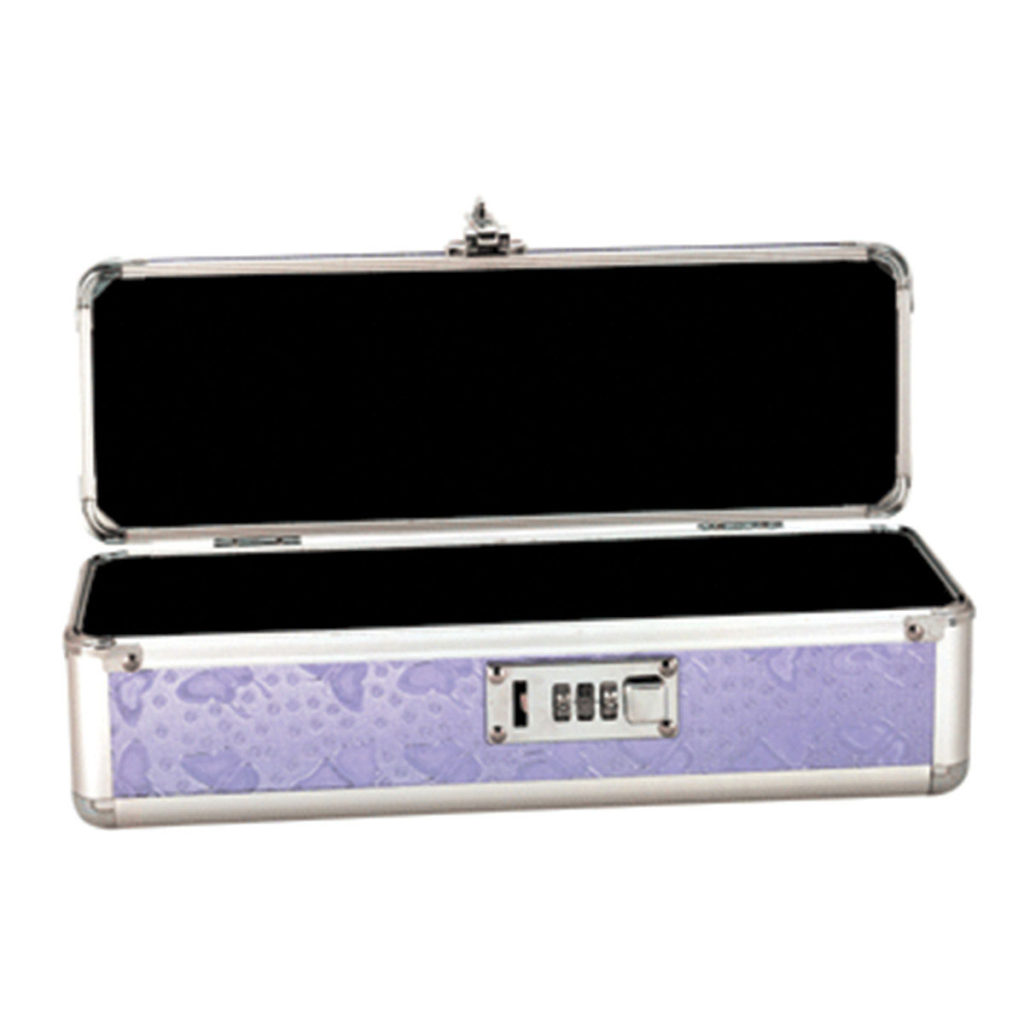 lockable toy case
