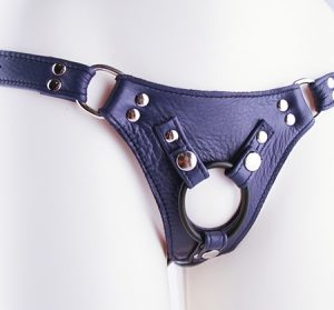 Aslan Jaguar Leather Harness