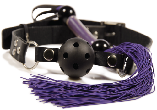 Entice Me Sex Toy Shop Featured Image - gag and whip sexy toys 