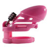 Cock Cage Locked in Lust - Image 12