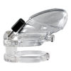 Cock Cage Locked in Lust - Image 13