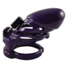Cock Cage Locked in Lust - Image 15