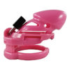 Cock Cage Locked in Lust - Image 9