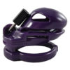 Cock Cage Locked in Lust - Image 7
