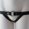Aslan Plug Harness