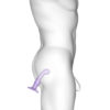 Strap on Me P&G Hybrid Plug Dildo - Image 3