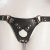 vegan harness picture