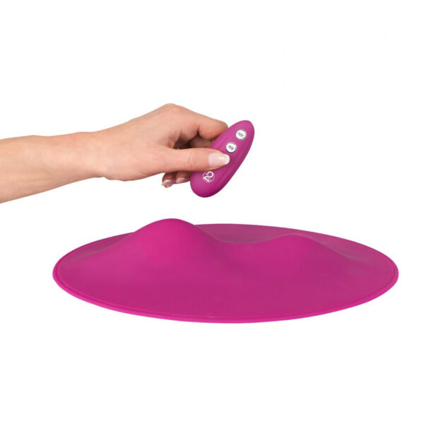 grinding pad with remote control in a hand